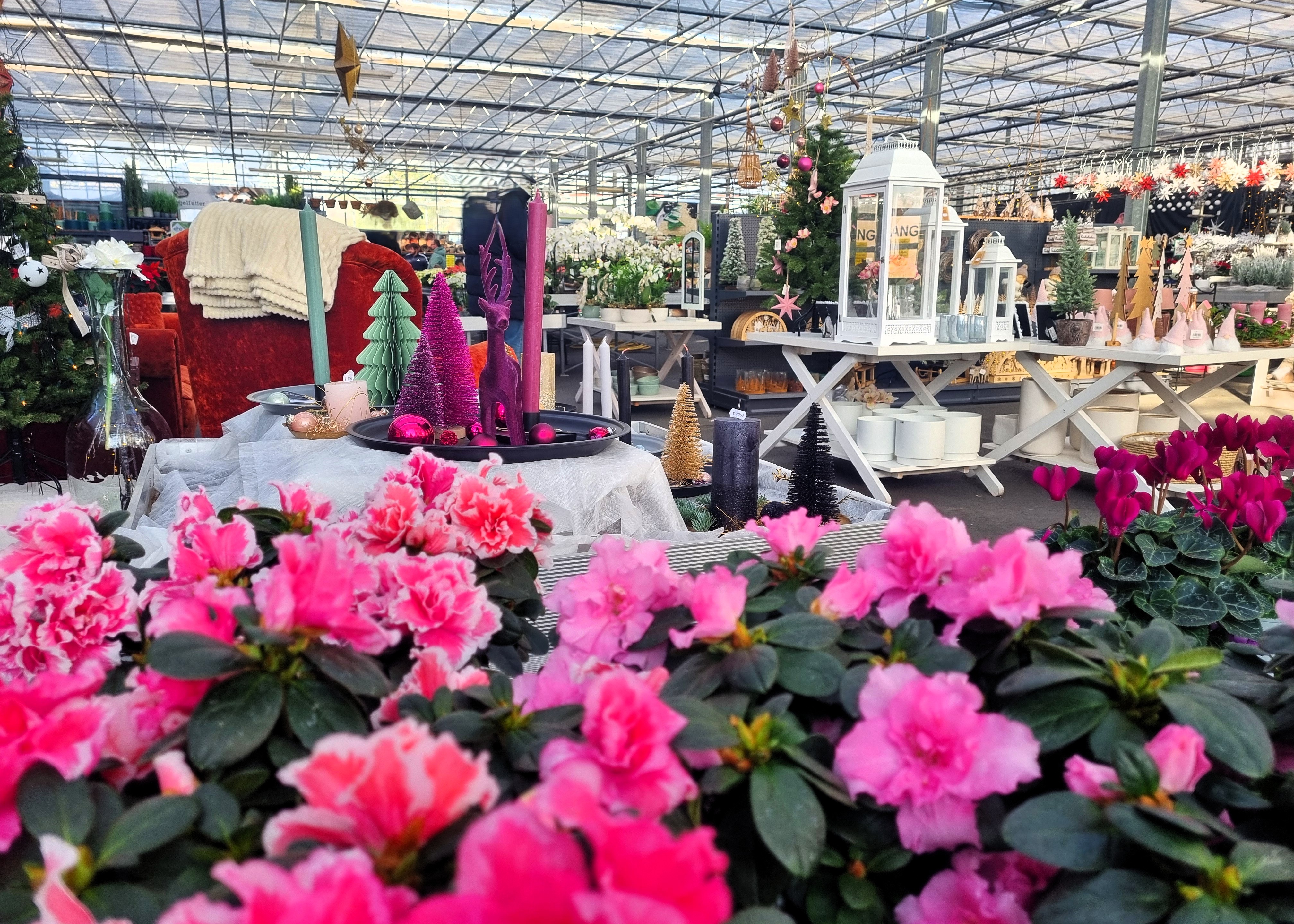 Monheimer Blumenmarkt